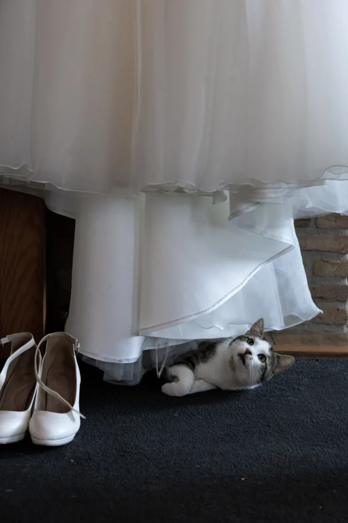 Speelse spontane foto van kat onder de jurk van de bruid bij het aankleed moment